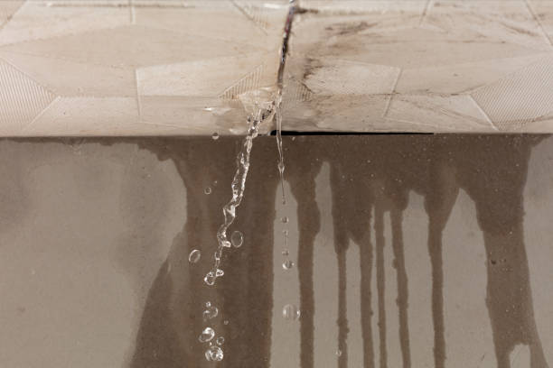Professional Sewage Cleanup technician working in Villa Grande, CA